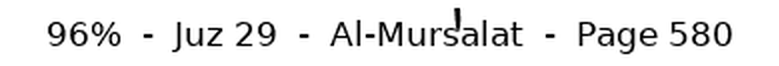 The status line: percent read, juz, surah, and page